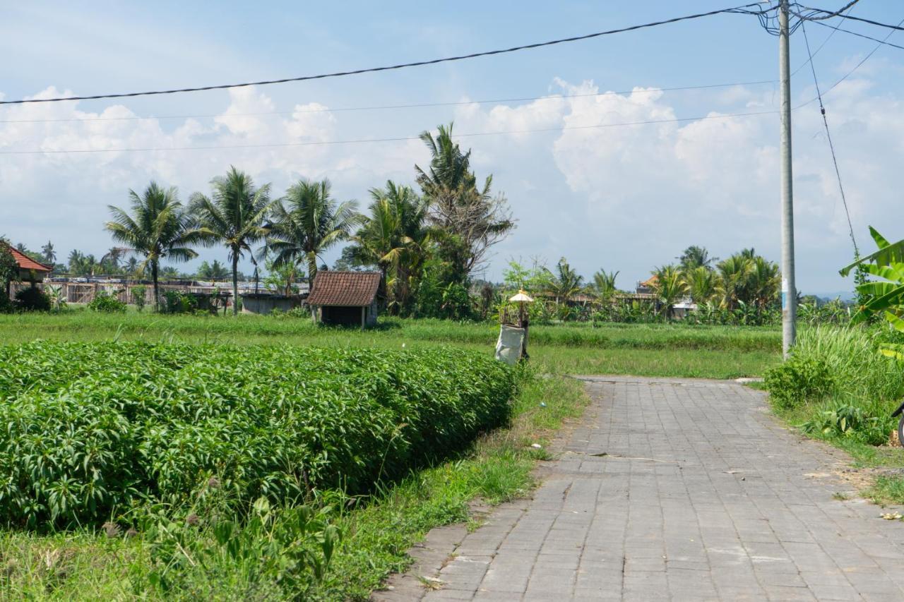 Wisma tamu Krisna Tapan